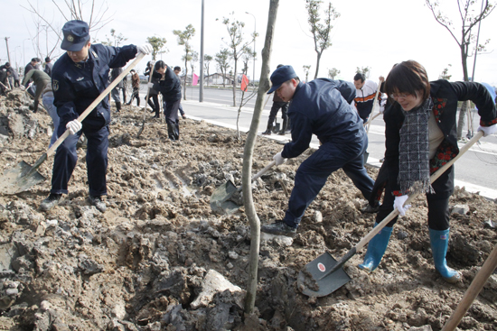 区领导参加义务植树活动